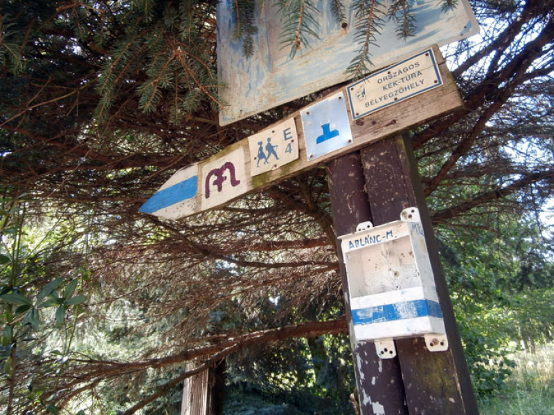 p8210149.jpg