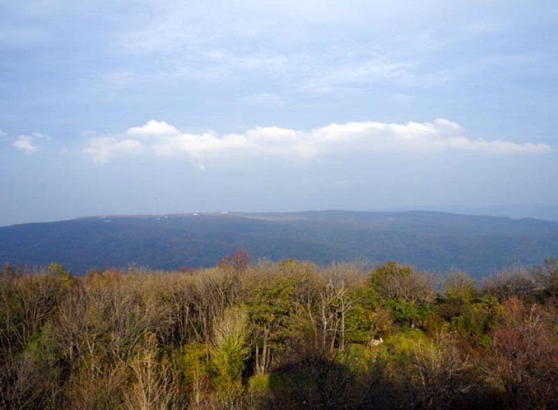 p8.jpg
