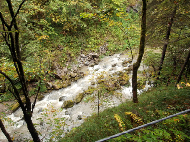 p9130305.jpg