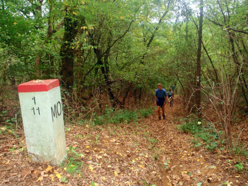 pa074223.jpg