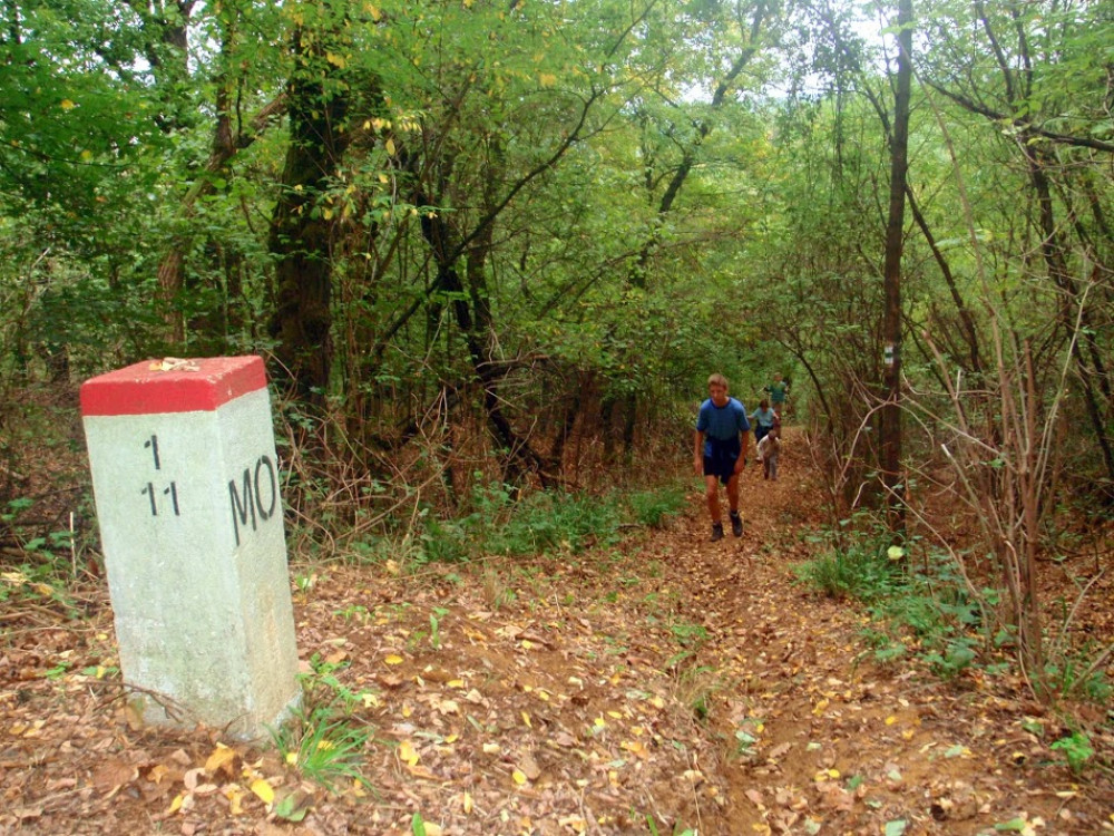 pa074223.jpg