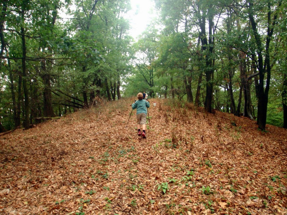 pa074230.jpg