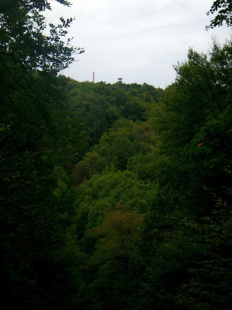 pa074233.jpg