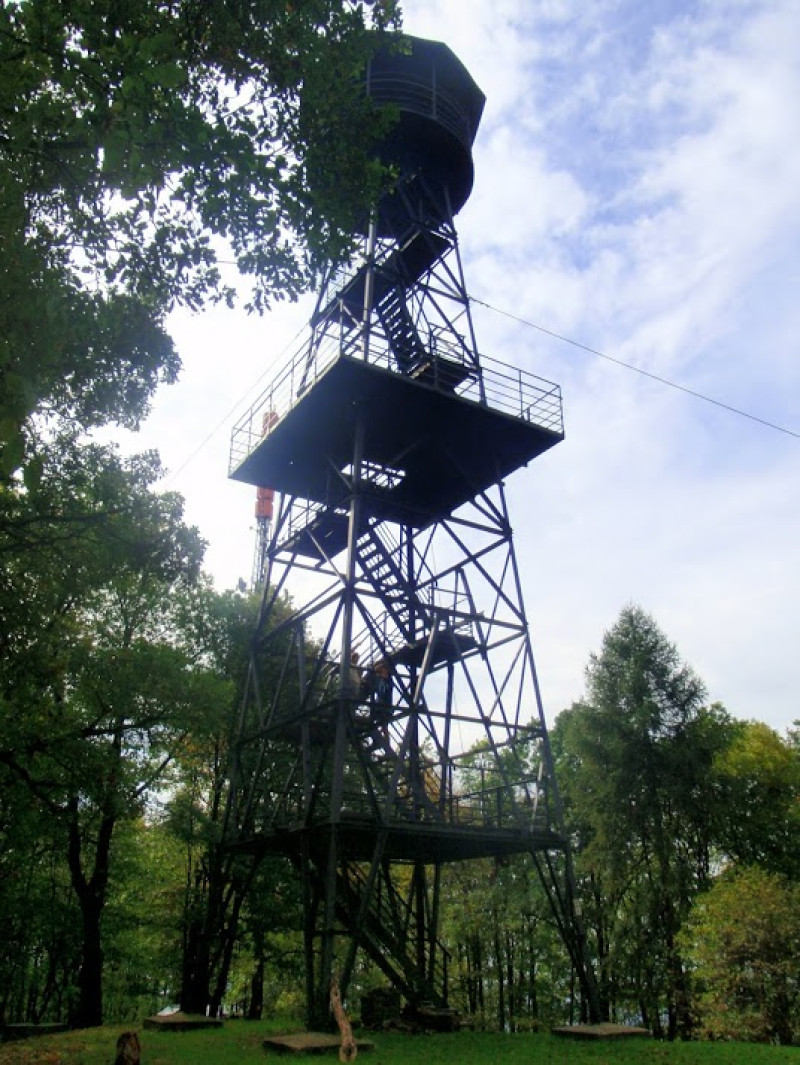 pa074239.jpg