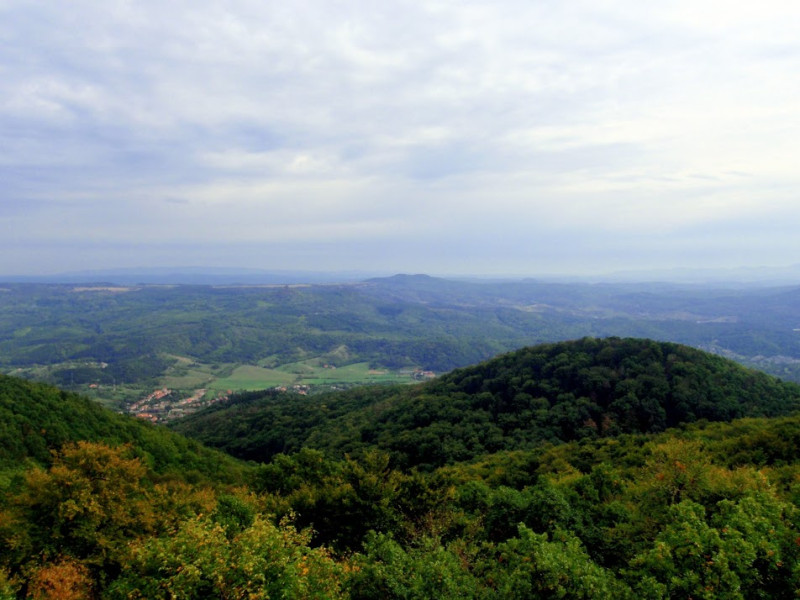 pa074244.jpg