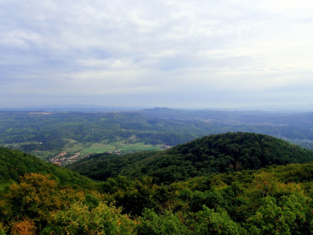 pa074244.jpg