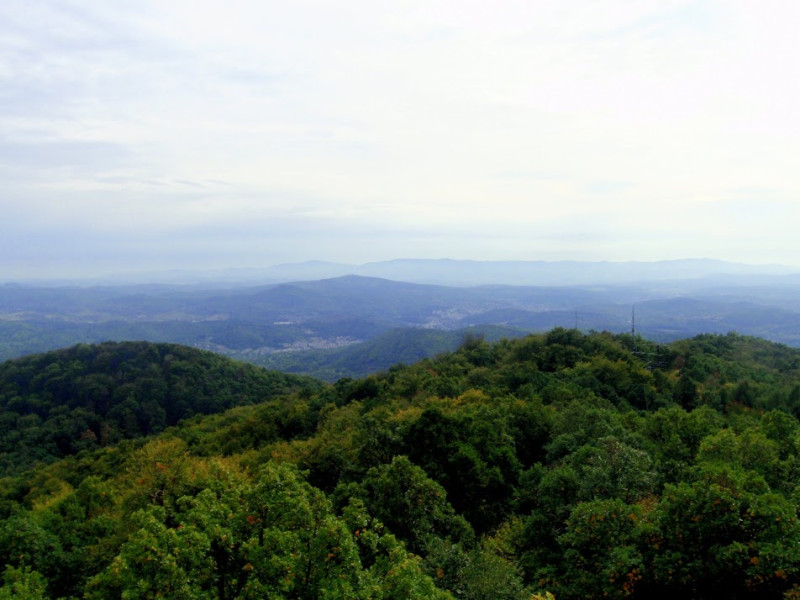 pa074245.jpg