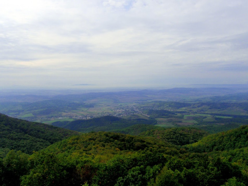 pa074247.jpg