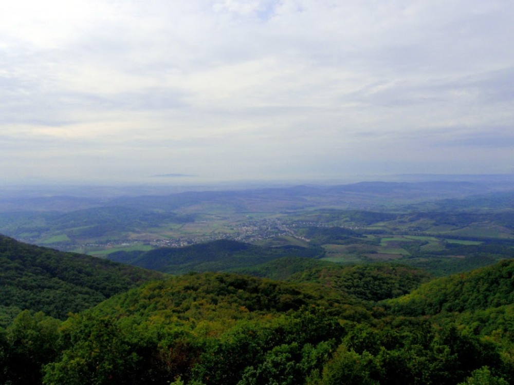 pa074247.jpg