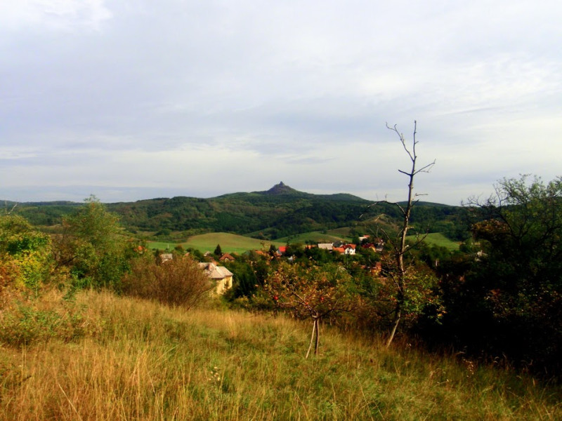 pa074253.jpg