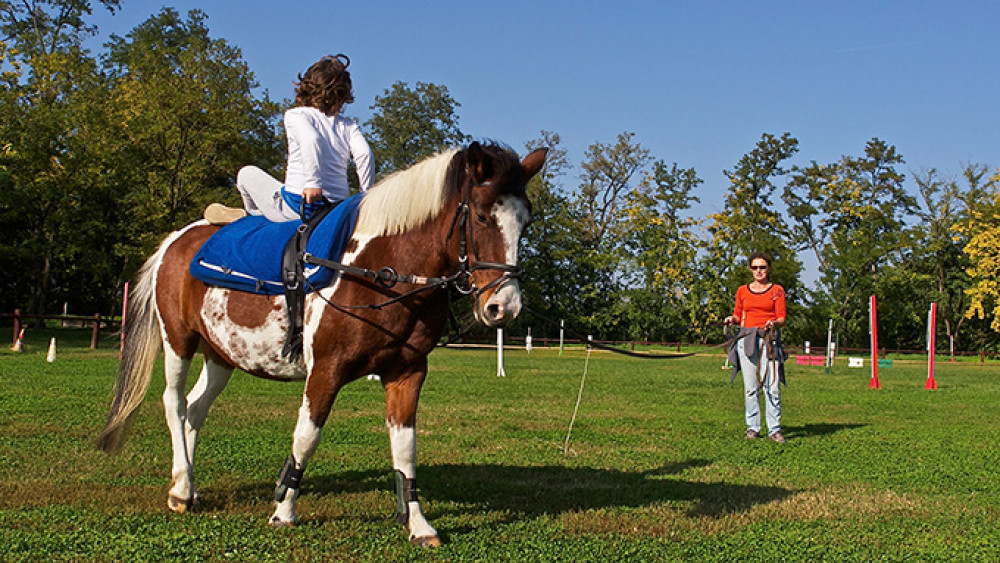 pa099945-kk.jpg