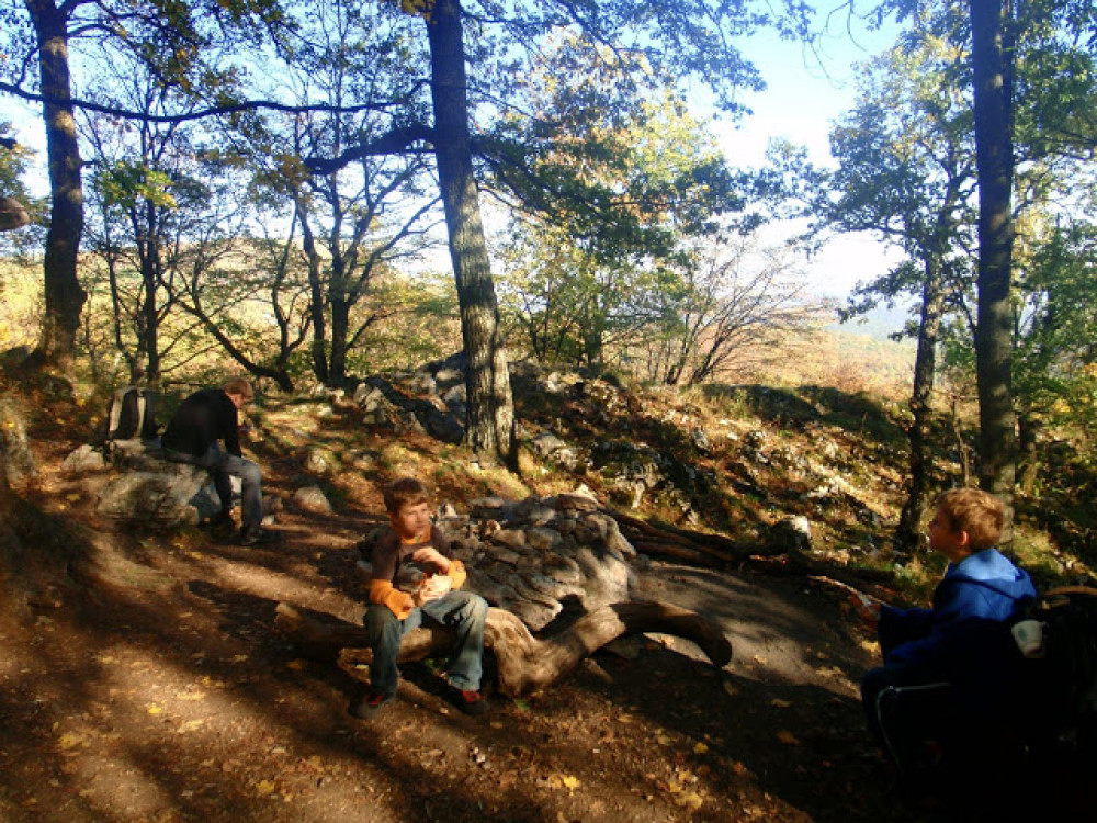 pa214318.jpg