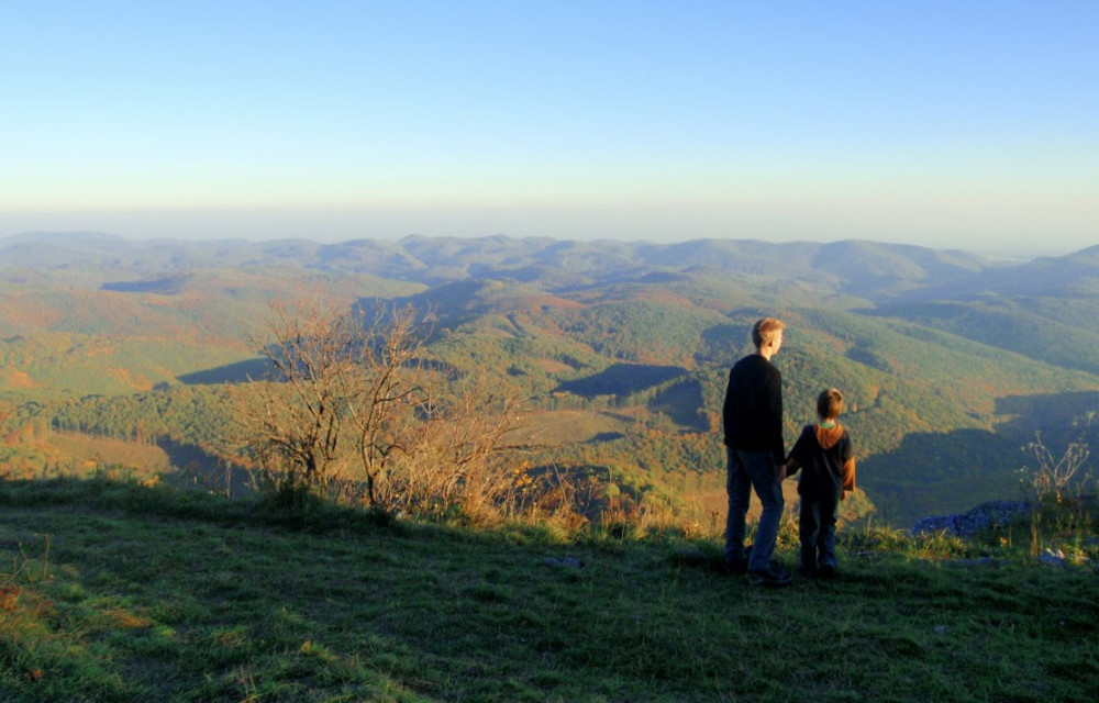pa214326.jpg