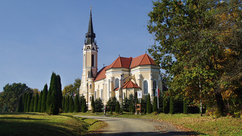 pa220174-2.jpg