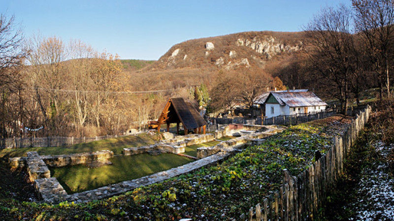 palos001.jpg