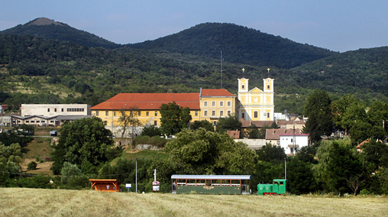 palos002.jpg