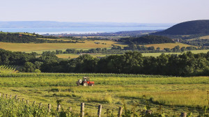 ​Panoráma kerékpárút a Balaton-felvidéken