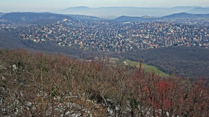 Panorámák a budai sárgán