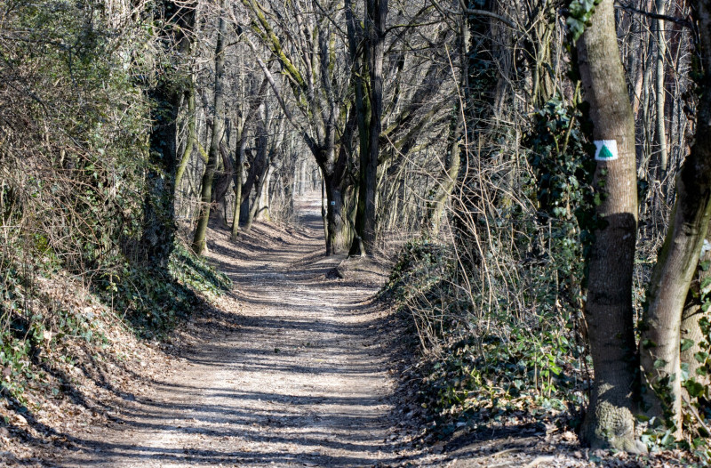 Páty, Mézeshegy határában
