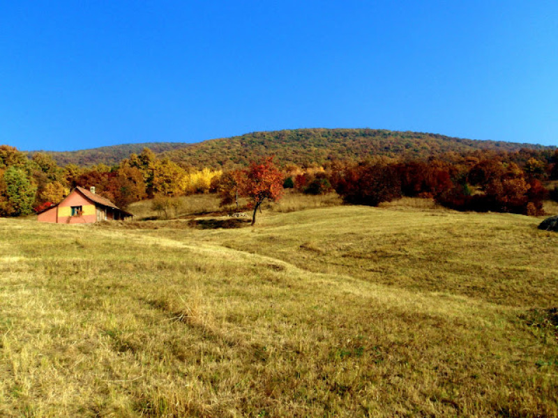 pb033346.jpg