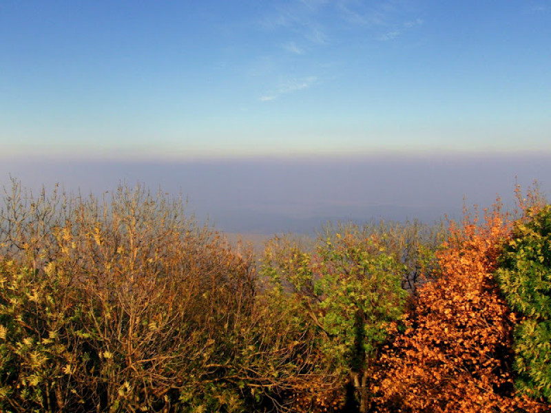 pb033356.jpg