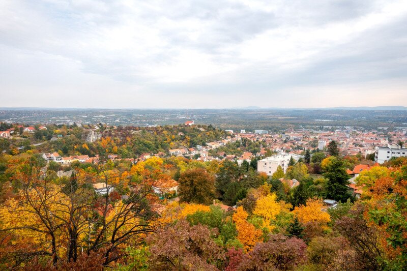 Pintér-kert, arborétum, Pécs