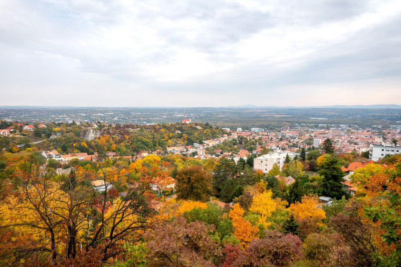 Pintér-kert, arborétum, Pécs