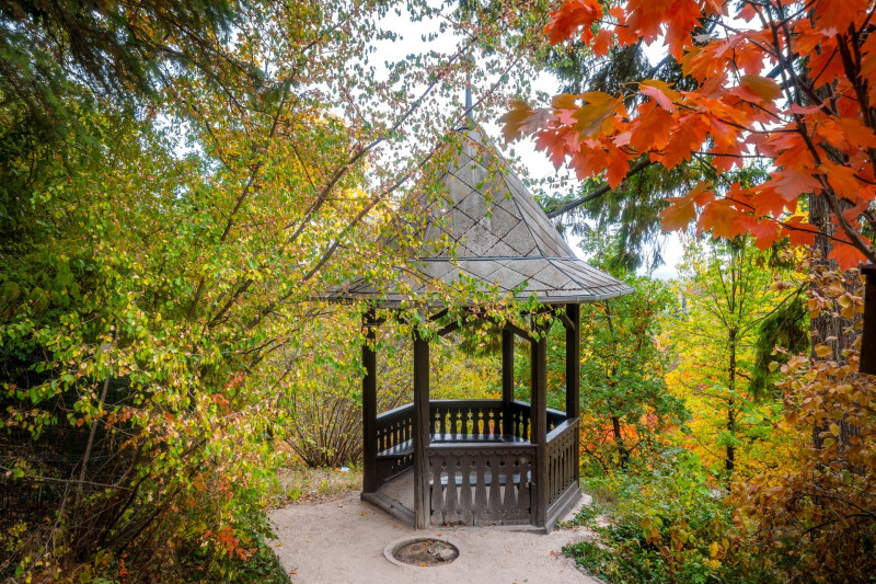 Pintér-kert, arborétum, Pécs