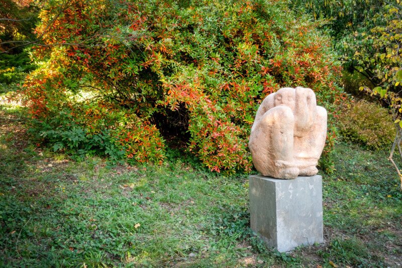 Pintér-kert, arborétum, Pécs