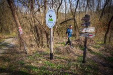 „Pirosjárás” a Pilis északnyugati szegletében