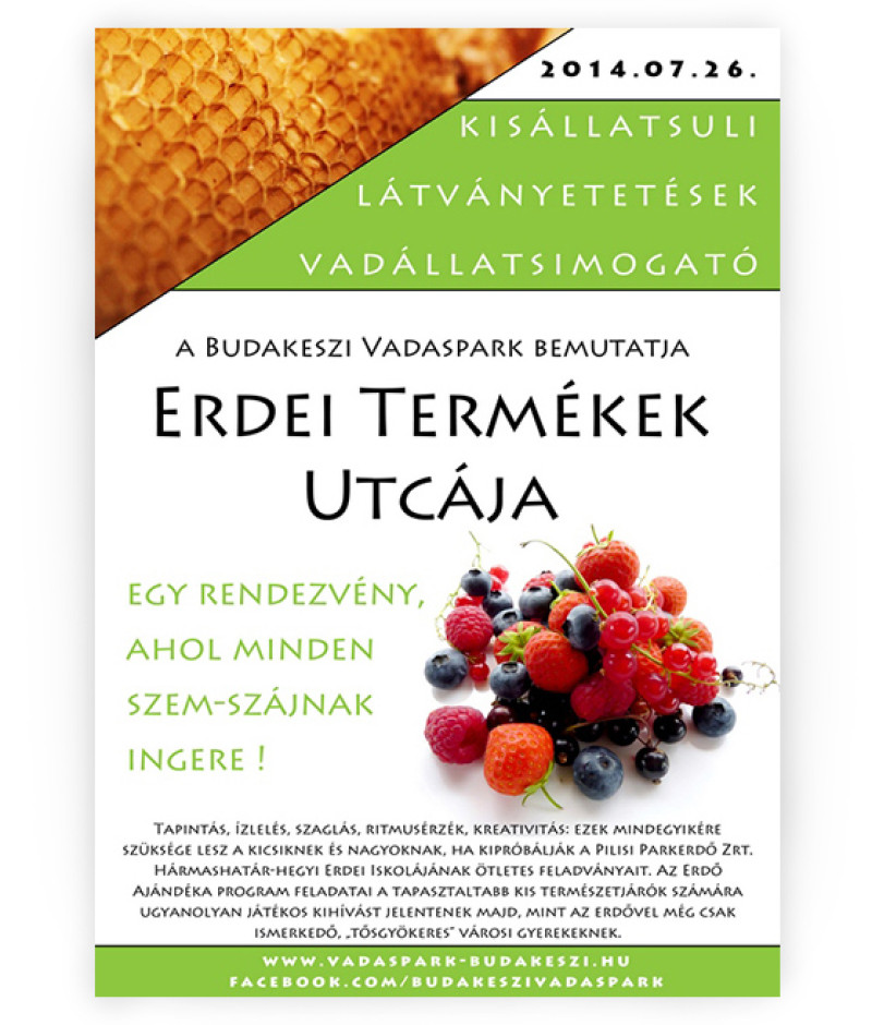 plakat_erdei_2014k2.jpg