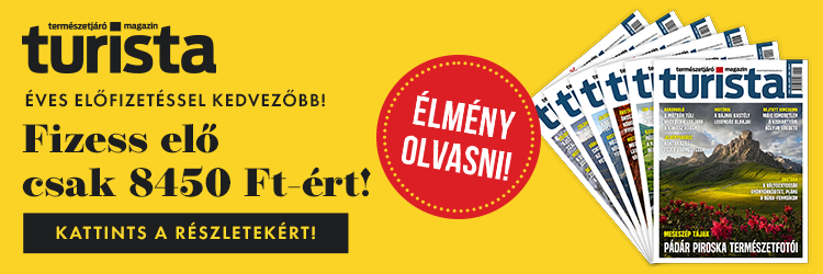 Print előfizetés