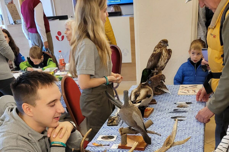 Program a gödöllői kastélyban