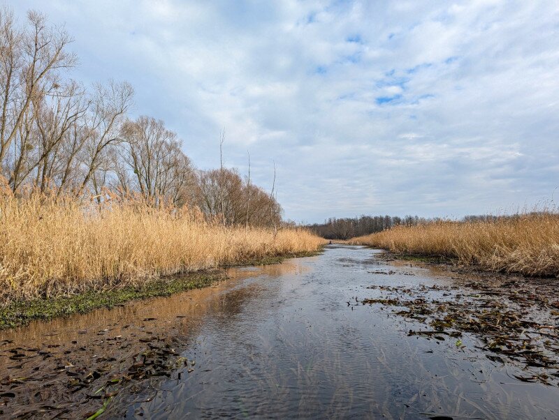 PXL_20250208_115652691