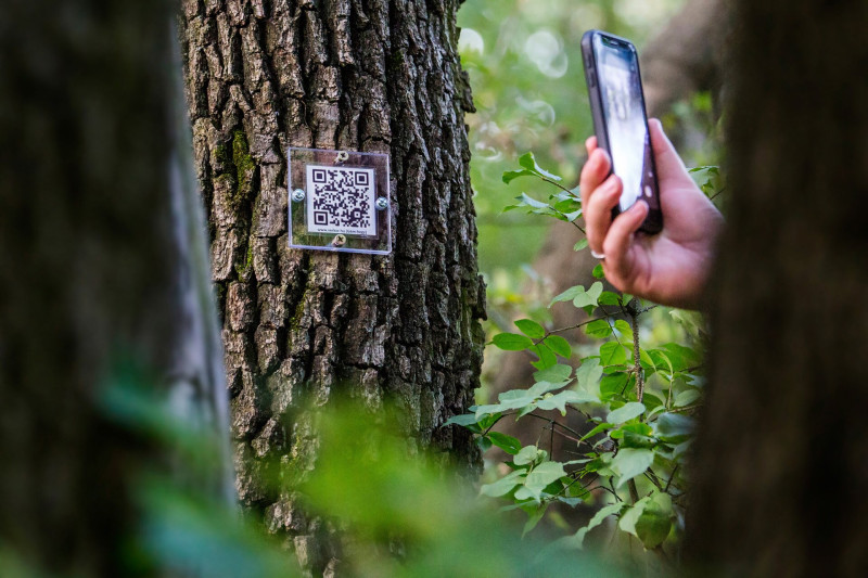 QR-kód leolvasás a Vérkör elnevezésű túrán