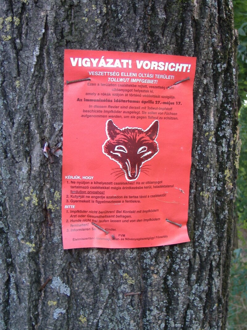 Rabies_warning_Makó