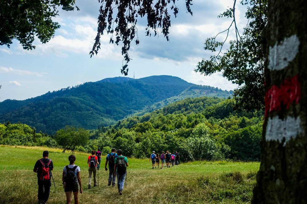 Rálátással a szitnyára (2)