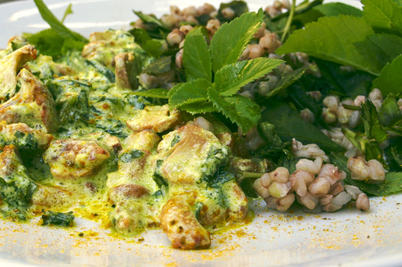 RECEPT 03 Rókagomba podagrafüves szószban FOTO Dénes Andrea