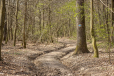 Sárdagasztási javaslatok télvíz idején