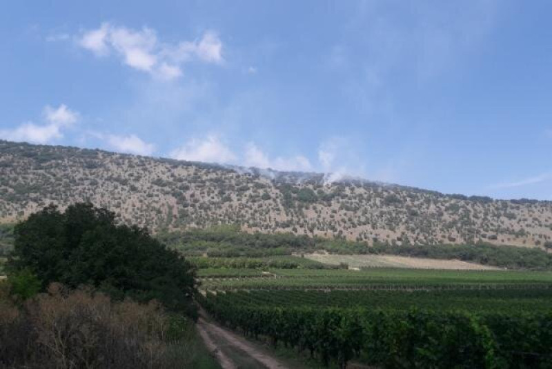 save_20220705_135210_640