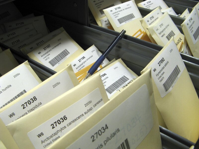 Seedbank