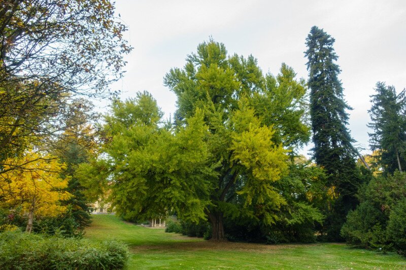 Sellyei kastélypark