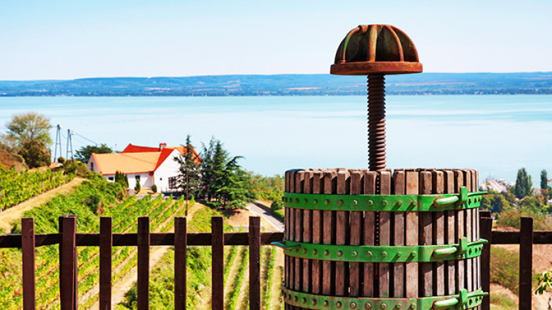 shutterstock_124474063-2.jpg