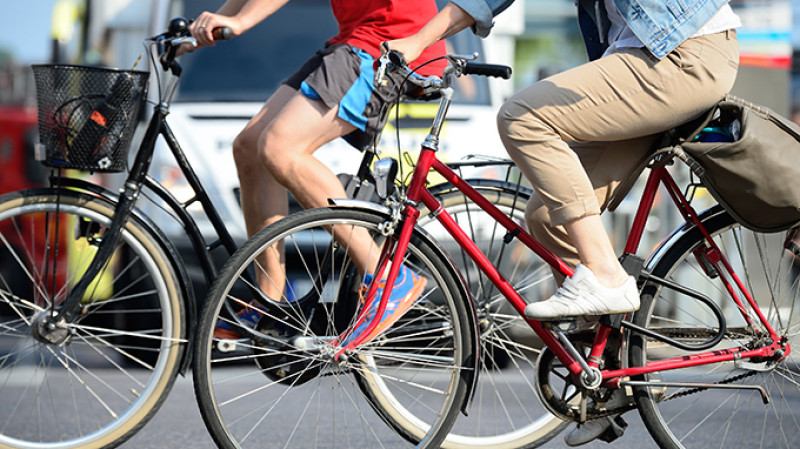 shutterstock_149854166-kk.jpg