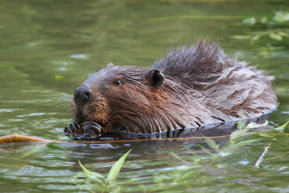 shutterstock_16664695-3.jpg