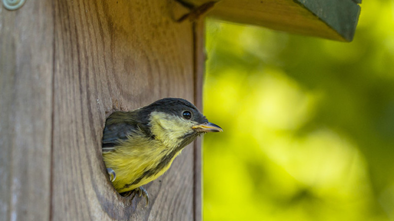 shutterstock_184440122-2.jpg