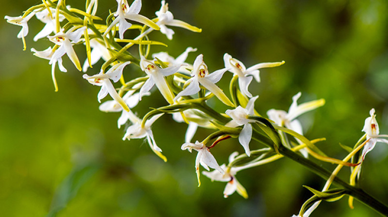 shutterstock_198076868-kk.jpg