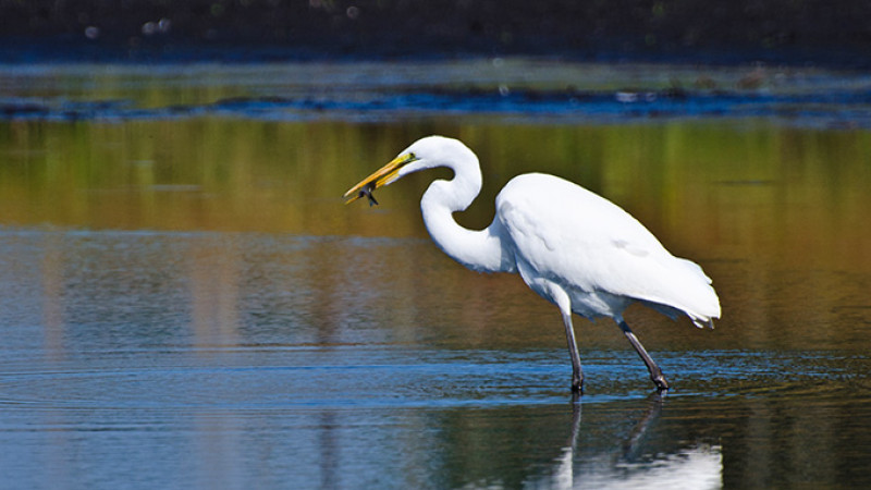 shutterstock_220676425-2.jpg