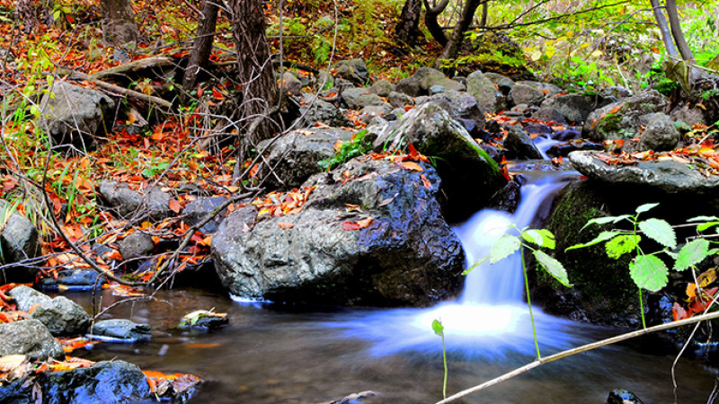 shutterstock_224388724-2.jpg
