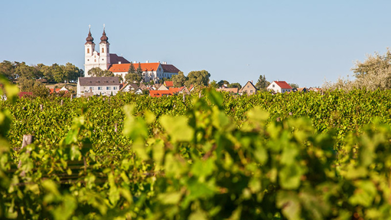 shutterstock_244153885-2.jpg